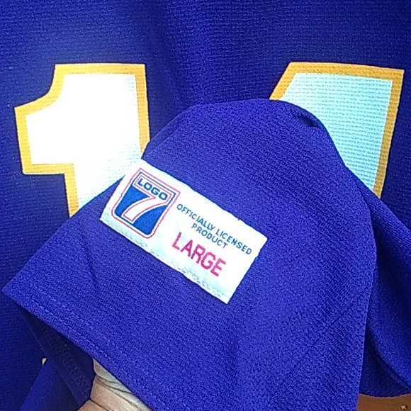 🏈 Vikings JERSEY  #14 Brad Johnson Vintage FootBall Sz Large Minnesota EPLVC - Picture 8 of 15